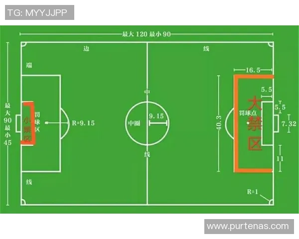 足球明星罚球记录分析与历史数据汇总探讨